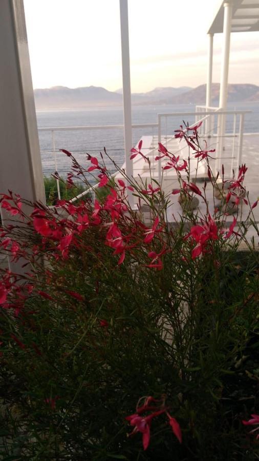 Epipleon Suites 애이오이아포스톨로이 외부 사진