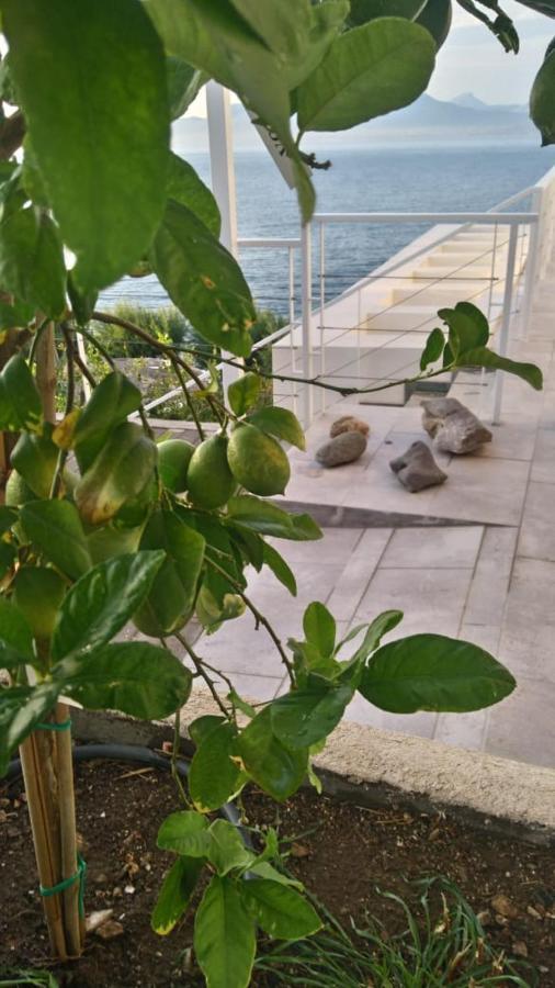 Epipleon Suites 애이오이아포스톨로이 외부 사진
